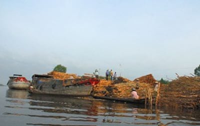Rach-Gia-c-305.jpg