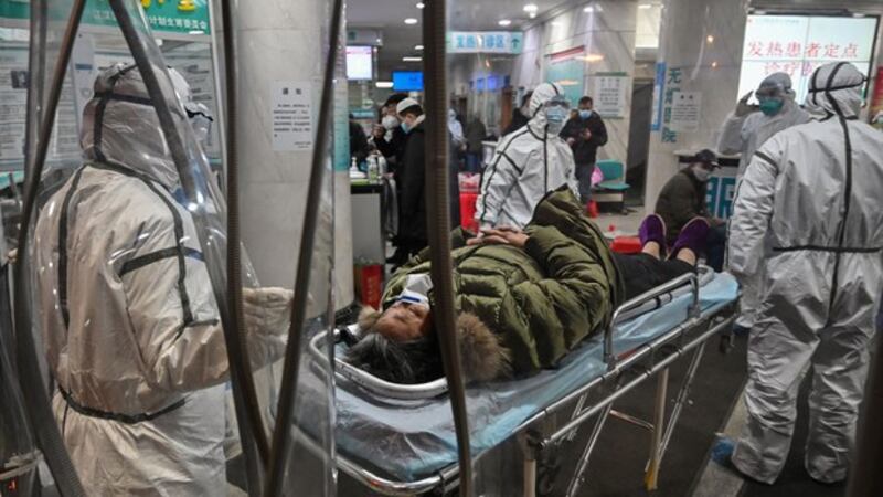身穿防护服的医务人员正将病人送入武汉市红十字会医院(法新社)