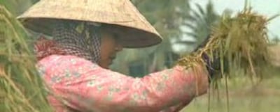 Người nông dân miền nam