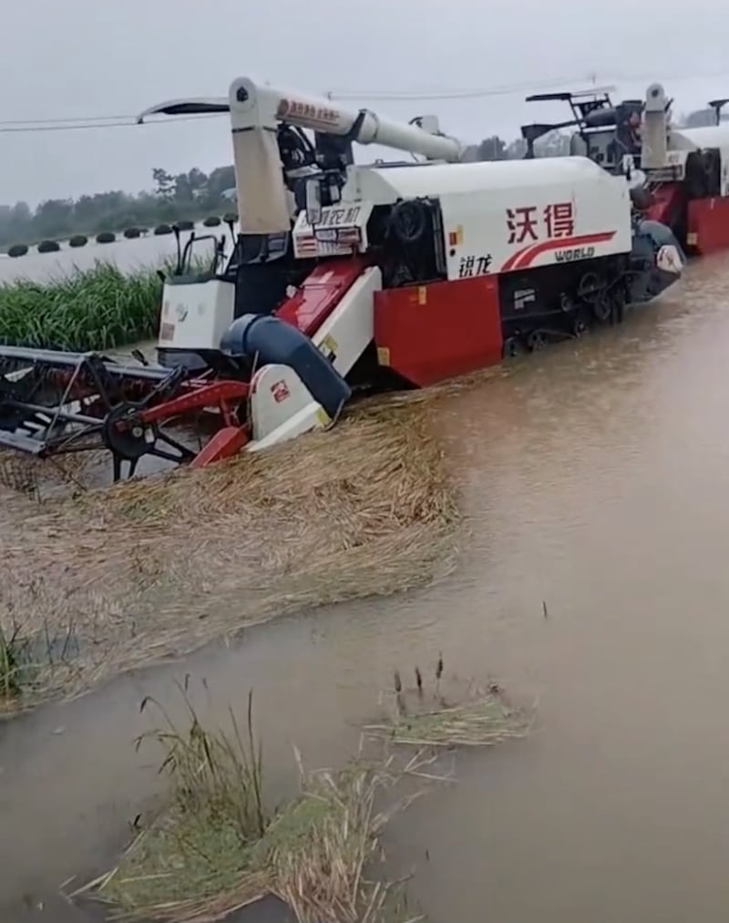 河南南部连续六天降雨,图为收割机泡在水中,成熟的麦子很快就会发芽。(网络截图/古亭提供)