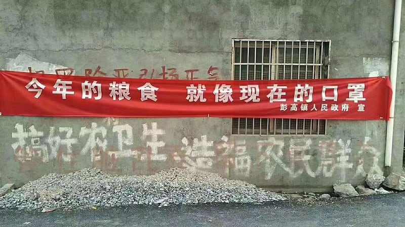 年轻人进城打工，农村很多耕地被撂荒。（网络图片/乔龙提供）