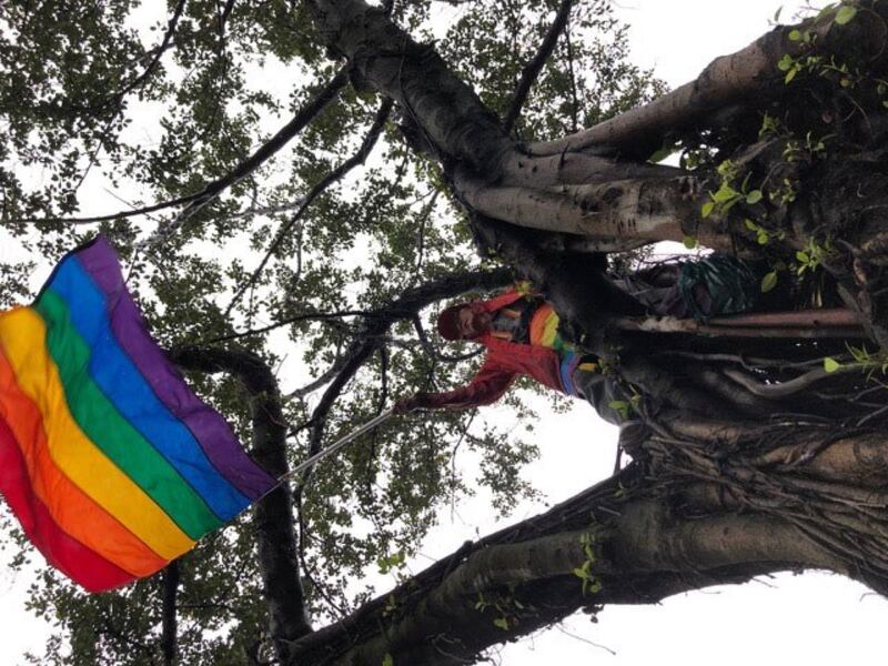 推动同性婚姻三十年祁家威在雨中爬树摇彩虹旗为同性恋朋友打气。(记者夏小华摄)