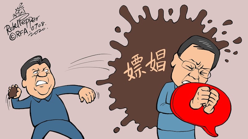 许章润批评习近平“被嫖娼”。（变态辣椒）